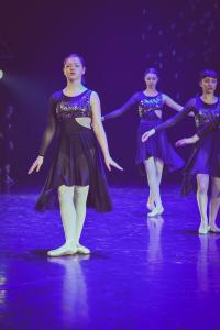DANSE-132