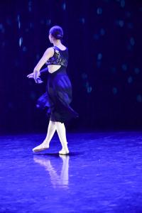 DANSE-135