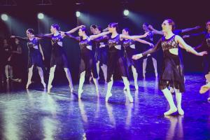 DANSE-137