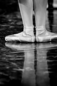 DANSE-139