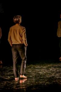 DANSE-217