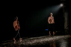 DANSE-219