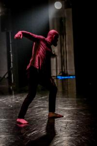 DANSE-221