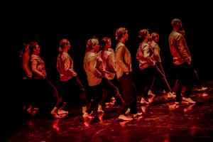 DANSE-224