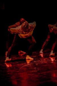 DANSE-227