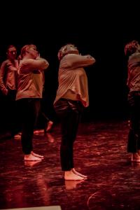 DANSE-231