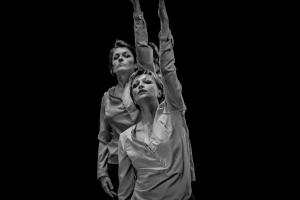 DANSE-236