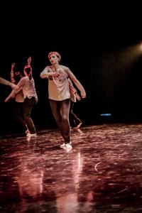 DANSE-246