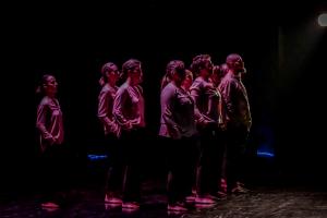DANSE-247