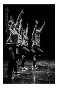 DANSE-251