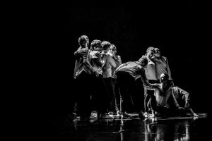 DANSE-260