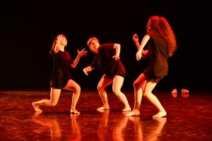 DANSE-265