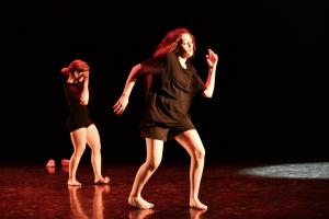 DANSE-267