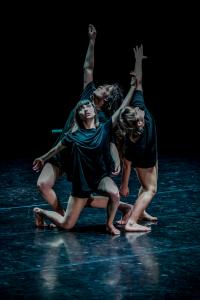 DANSE-275