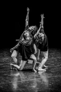 DANSE-276