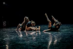DANSE-288