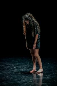 DANSE-290