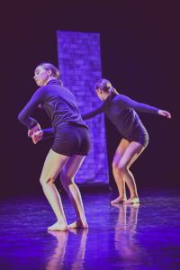 DANSE-336
