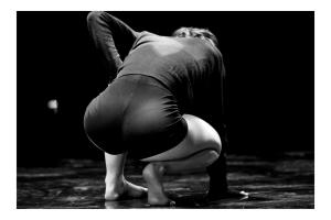 DANSE-350