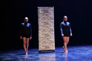 DANSE-363