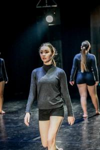 DANSE-381