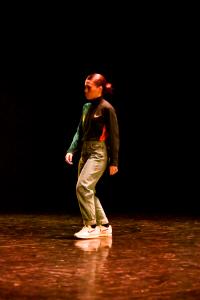 DANSE-4