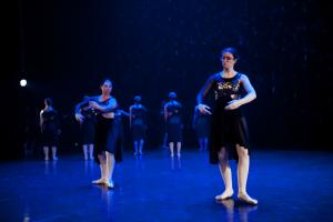 DANSE-407