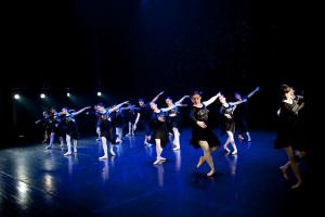 DANSE-409