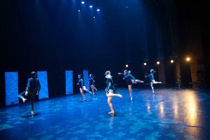 DANSE-421