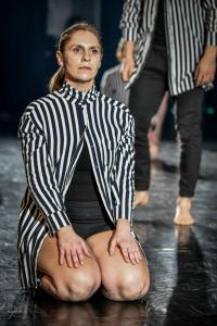 DANSE-481