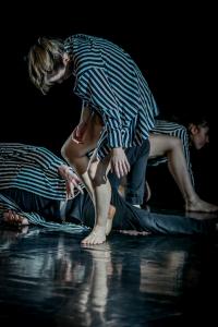 DANSE-486