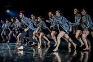 DANSE-504
