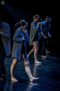 DANSE-513