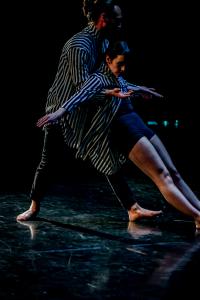 DANSE-520