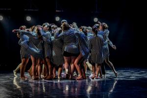 DANSE-528