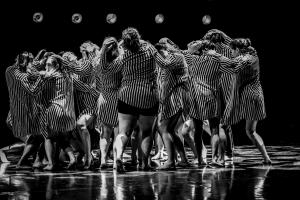 DANSE-531