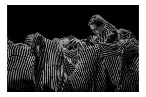 DANSE-533