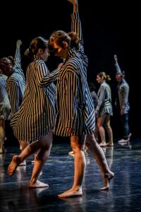 DANSE-539