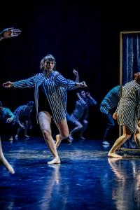DANSE-549