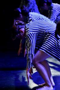 DANSE-560