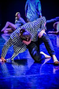 DANSE-575