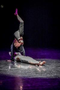DANSE-619