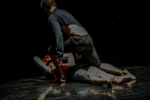 DANSE-620
