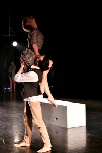 DANSE-771