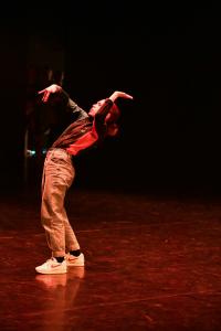DANSE-784