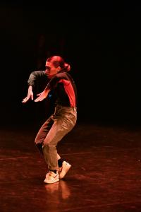 DANSE-785