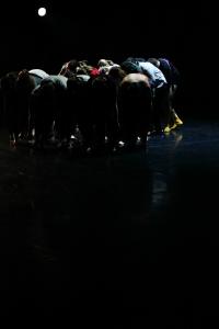DANSE-828
