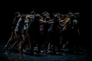 DANSE-831