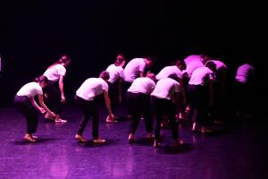 DANSE-838