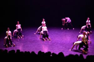 DANSE-839